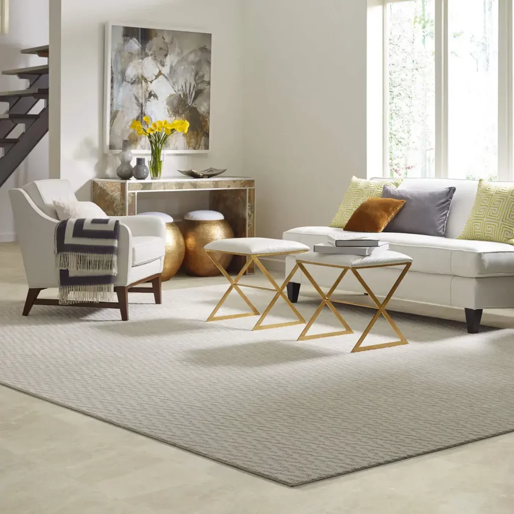 Area rug | Randy's Flooring