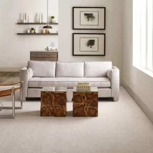 Carpet flooring | Randy's Flooring